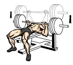 benching bar