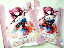 touhou project