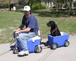 cooler scooter
