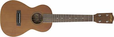 a ukulele