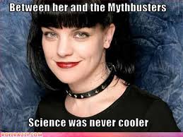 pauley perrette tattoos
