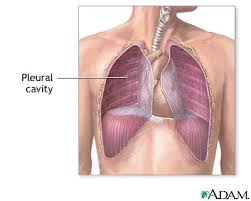 pictures cavity