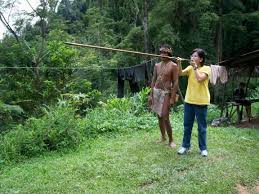 blow dart gun