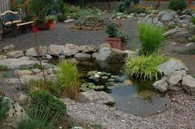 pond rocks