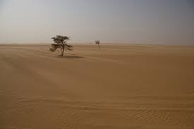 the sahel