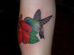 colorful hummingbirds