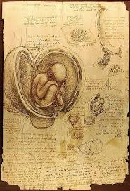 da vinci sketchbook