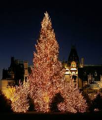 biltmore house at christmas
