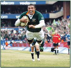springbok rugby team