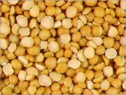pulses