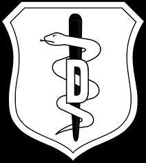 air force dental