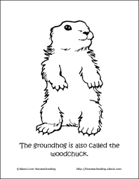 groundhog