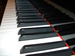 piano logo לימוד פסנתר בתל אביב 