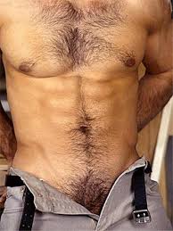 http://t0.gstatic.com/images?q=tbn:78o0kM2IwVjWiM%3Ahttp://data52.sevenload.com/slcom/yf/te/longgg/pxernomqmec.jpg~/Hairy-chest.jpg