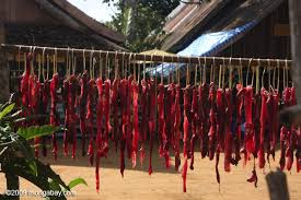 deer meat