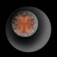 mitosis video