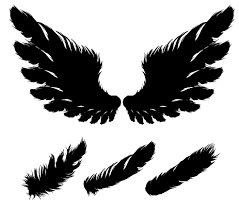 Ive got some cool wings to