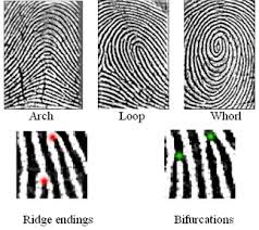 types fingerprints