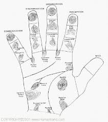 types fingerprints