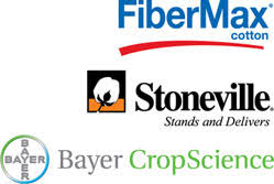 fibermax cotton