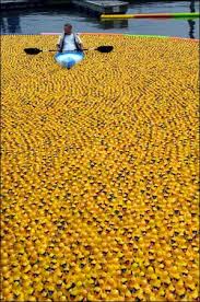 rubber ducks