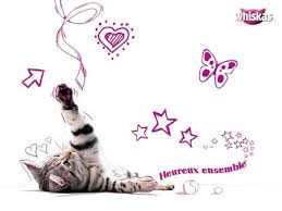 chat dans ATLANTES