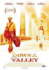 A�k Vadisi - Down in the Valley (2005) TrAltyaz�