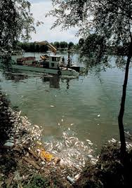 contaminantes del agua