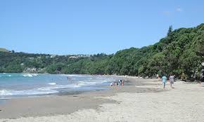 Coopers Beach