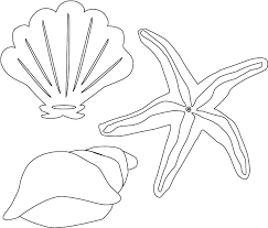 printable barn owl food web pages