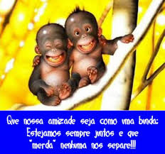 test de amigos