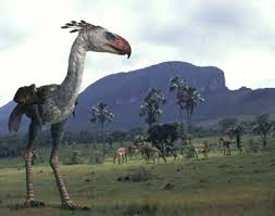 huge birds