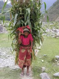 nepal economy