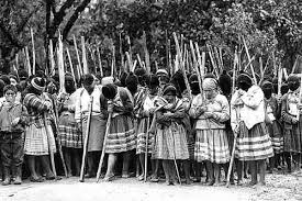 ejercito zapatista de liberacion nacional
