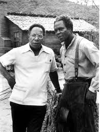 alex haley roots