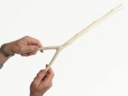 divining rod