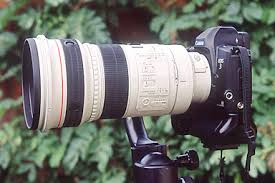 canon 300mm lenses