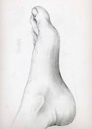 foot sketch