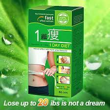 1 day diet