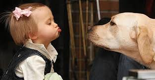 dog kids