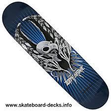 tony hawks skateboarding