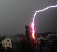 lightning striking a tree