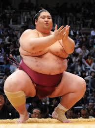 japan sumo