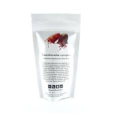 eatable insects