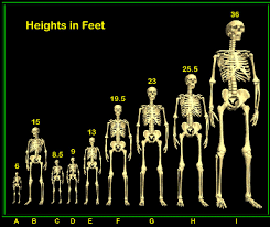 This Antediluvian giant stood