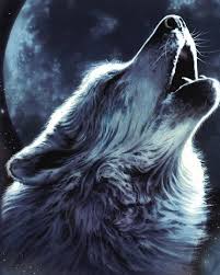 wolf and moon