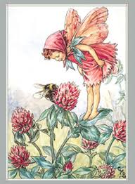 flower fairys