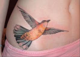birds all over the world
