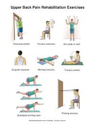 upper back stretches