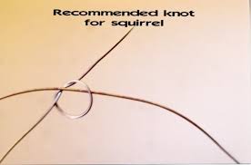 squirrel snaring